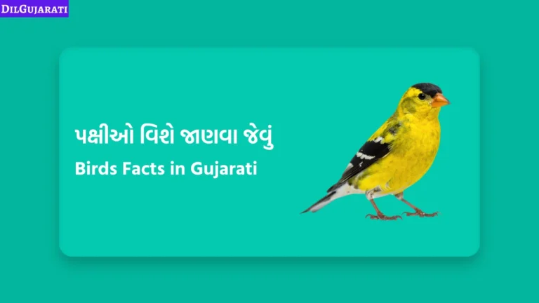 પક્ષીઓ વિશે જાણવા જેવું | Birds Facts in Gujarati