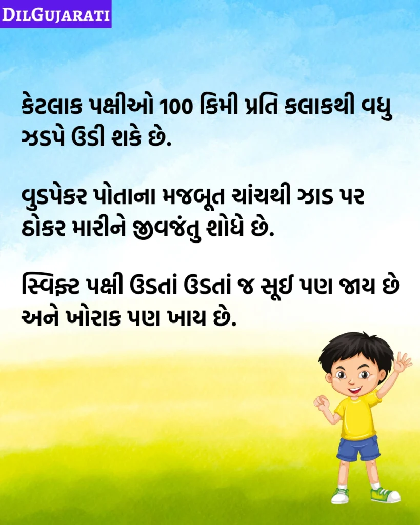 પક્ષીઓ વિશે જાણવા જેવું