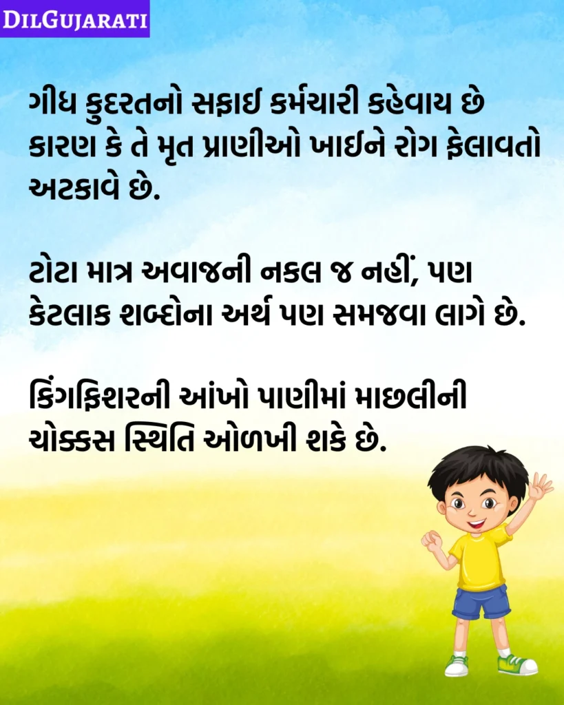 Birds Facts in Gujarati