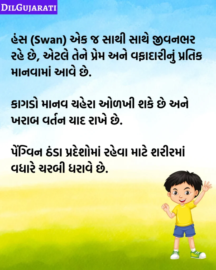 Birds Facts in Gujarati